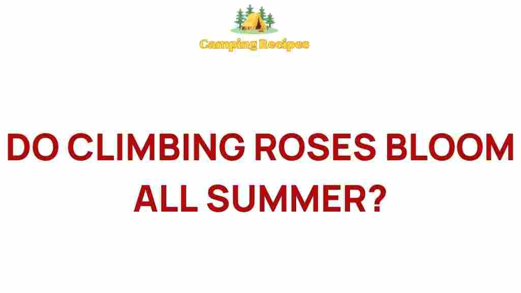 climbing-roses-bloom-summer