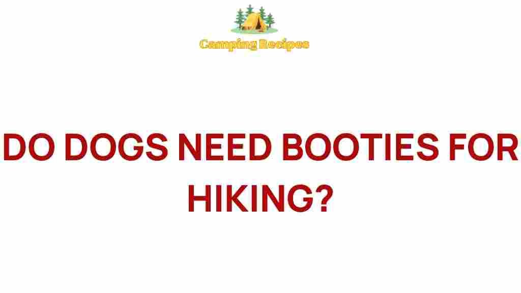 do-dogs-need-booties-for-hiking