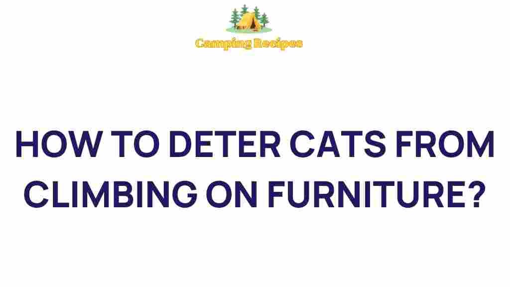 deter-cats-climbing-furniture