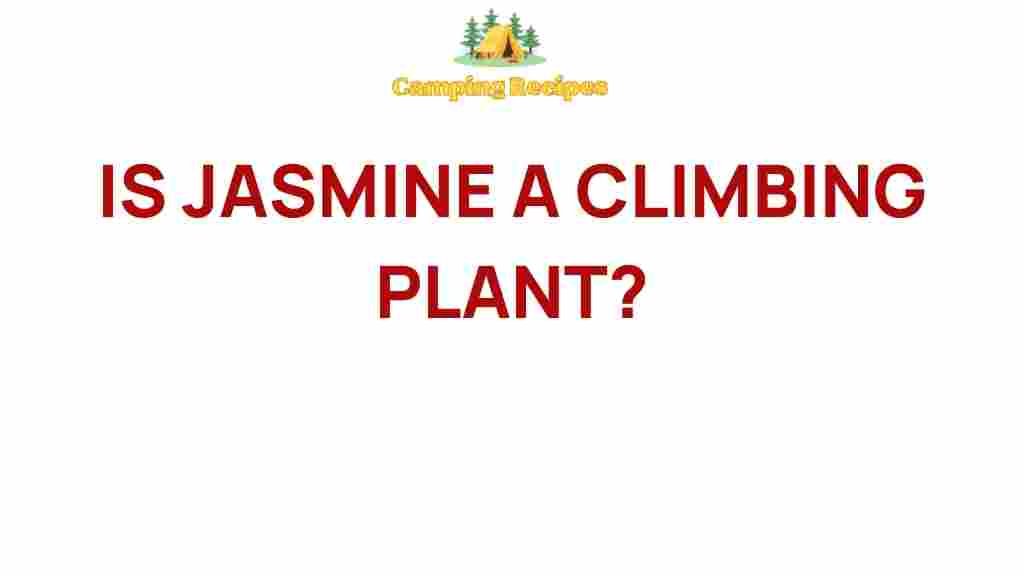 jasmine-climbing-plant