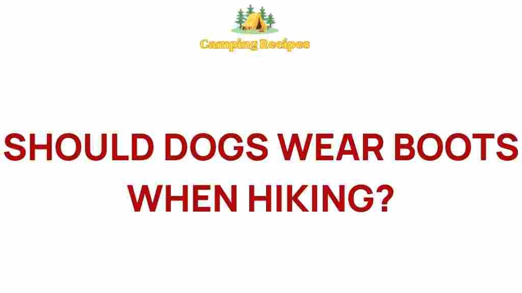 dog-boots-hiking-adventures