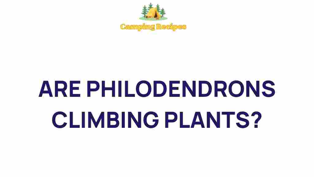 philodendrons-climbing-plants