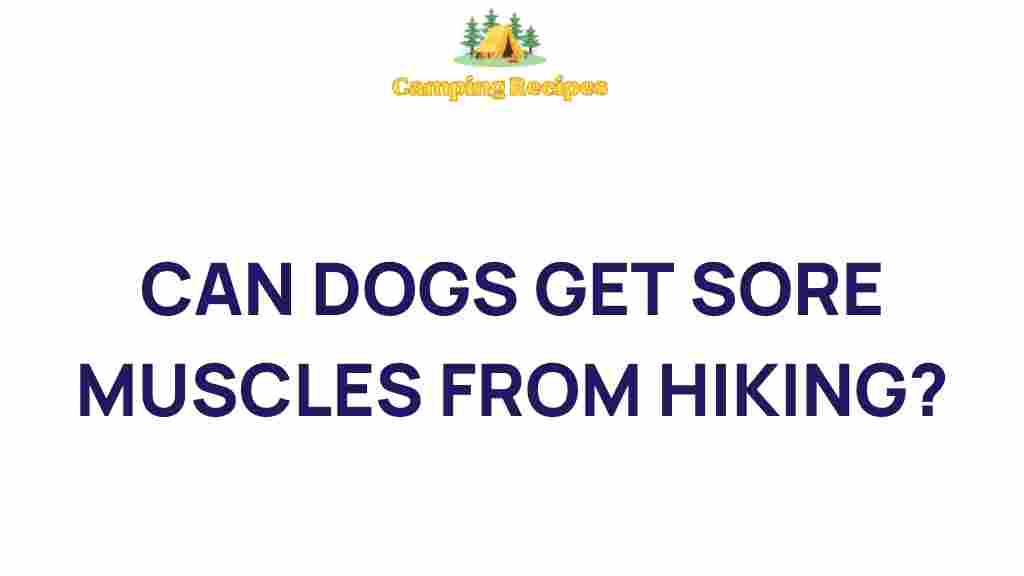 can-dogs-get-sore-muscles-from-hiking