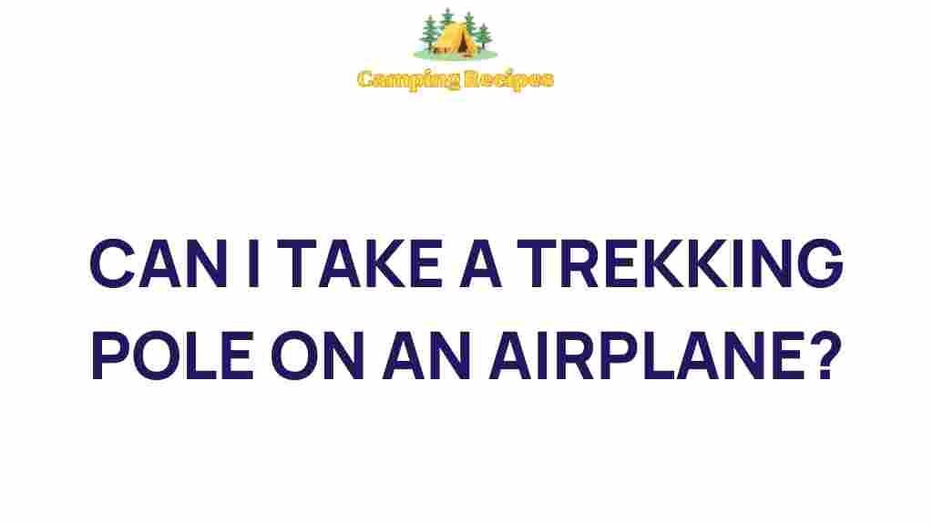 trekking-pole-airplane