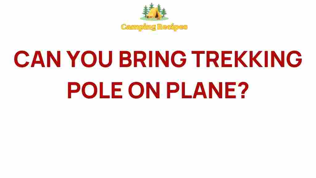 trekking-pole-on-plane