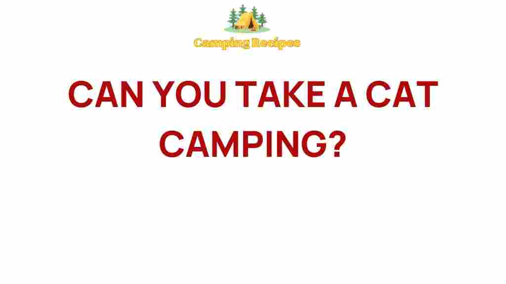 cat-camping-adventure