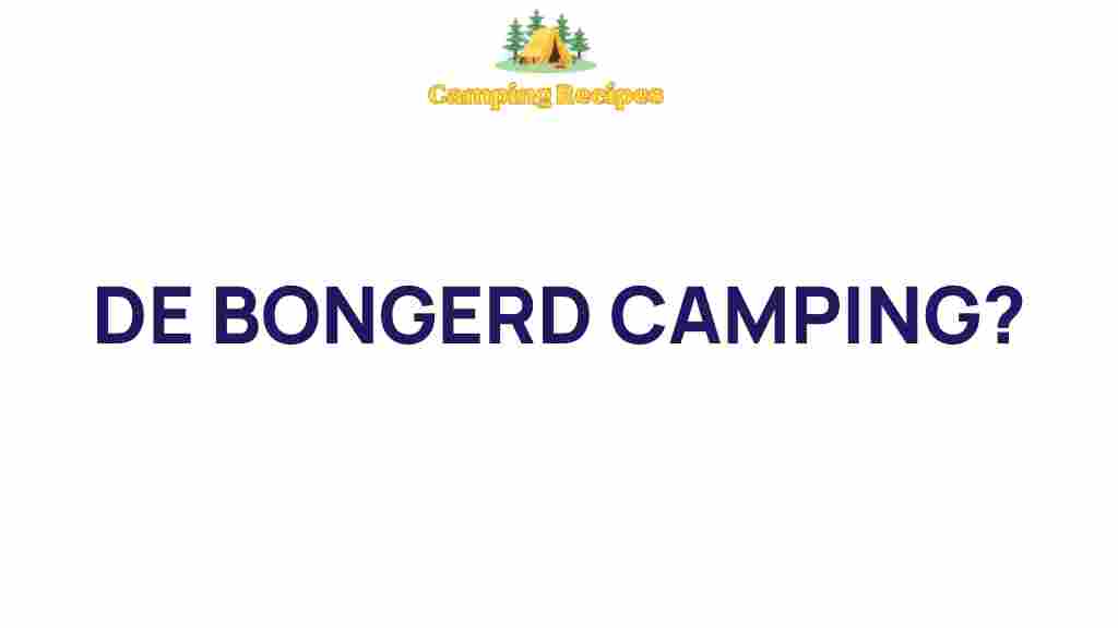 de-bongerD-camping-experience