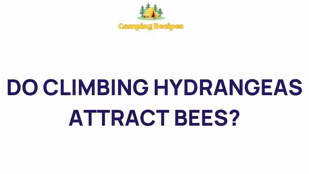 climbing-hydrangeas-attract-bees