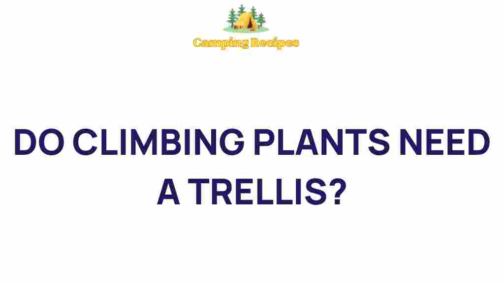 climbing-plants-trellis