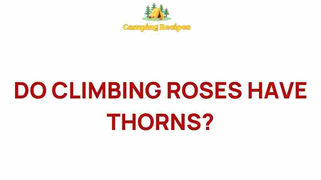 climbing-roses-thorns