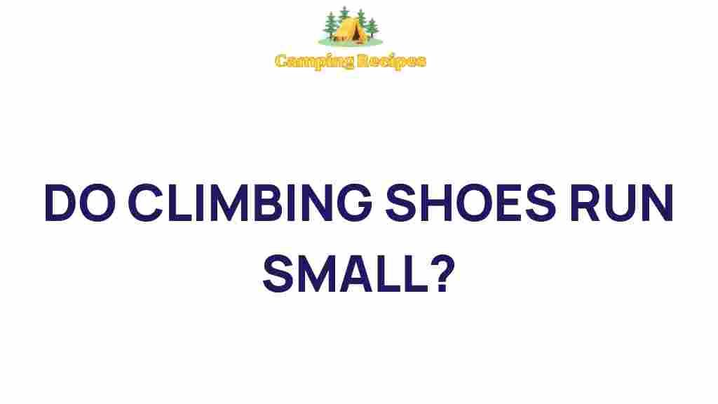 climbing-shoes-run-small