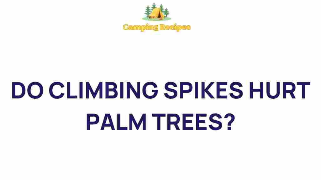 climbing-spikes-harm-palm-trees