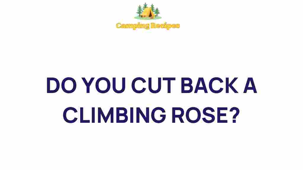 climbing-roses-pruning-techniques