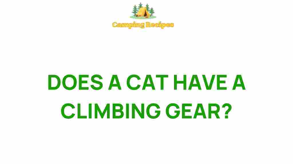 cat-climbing-gear