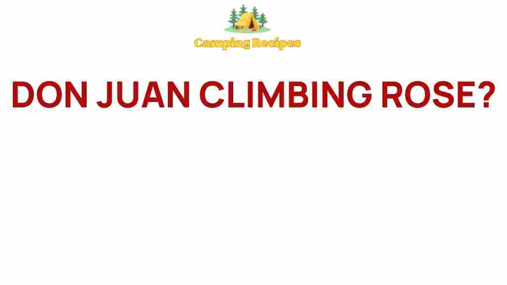 don-juan-climbing