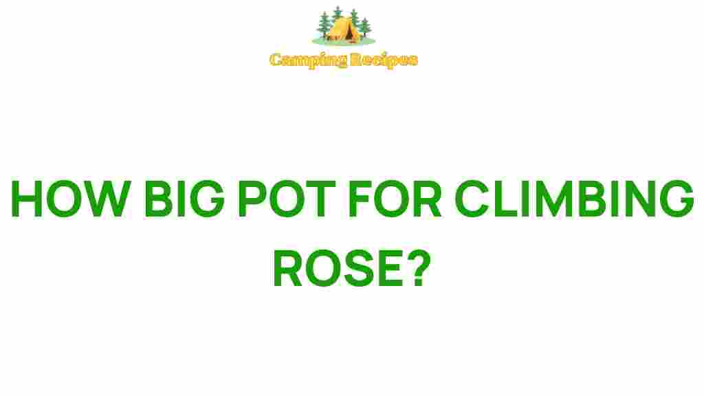 big-pots-climbing-performance