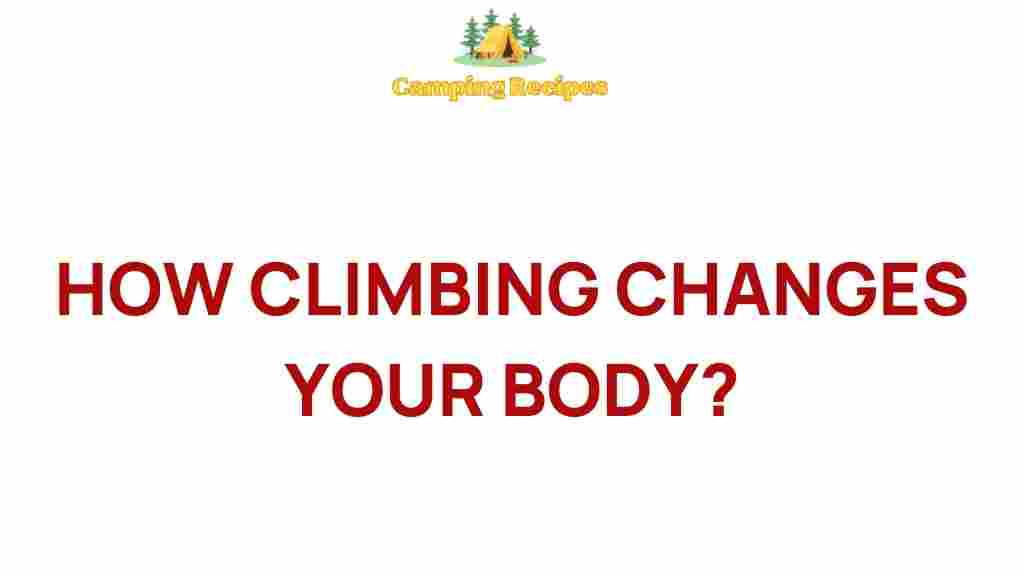 climbing-transforms-your-body