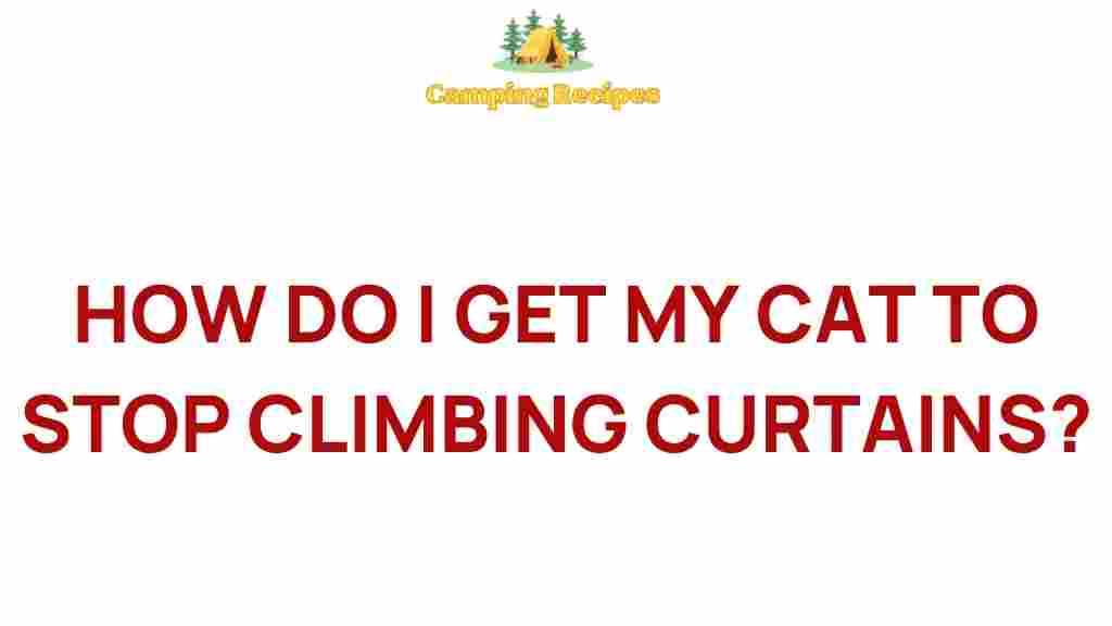 how-to-stop-cat-climbing-curtains