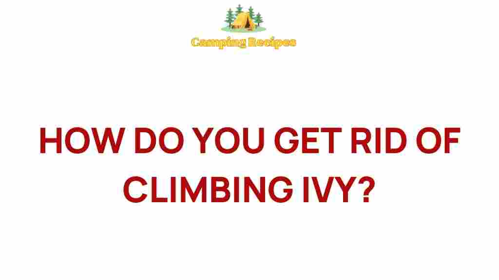 climbing-ivy-removal-tips
