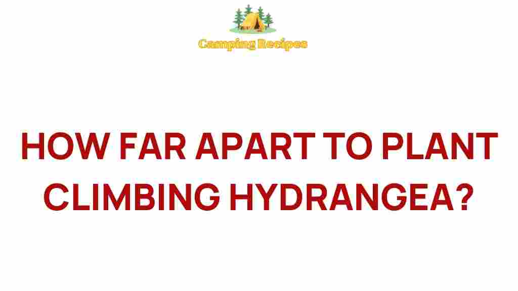 climbing-hydrangea-planting-tips