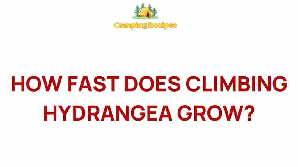 climbing-hydrangea-growth-rate