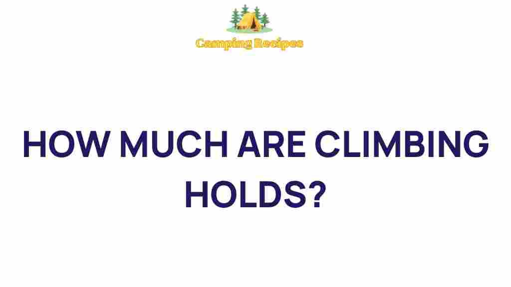 climbing-holds-pricing