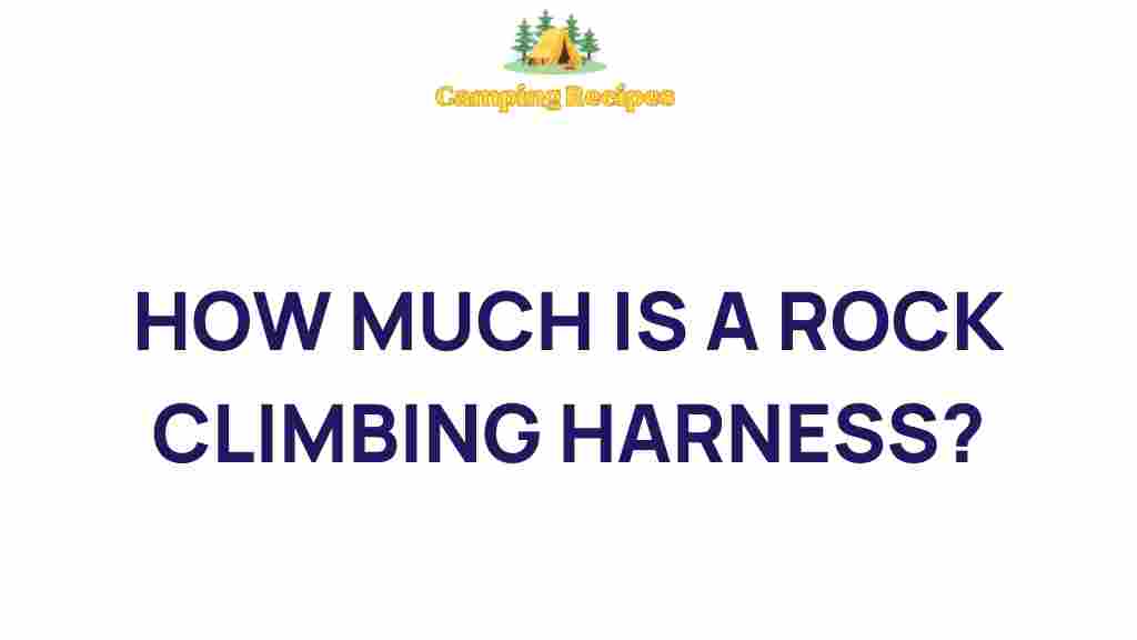 rock-climbing-harness-cost