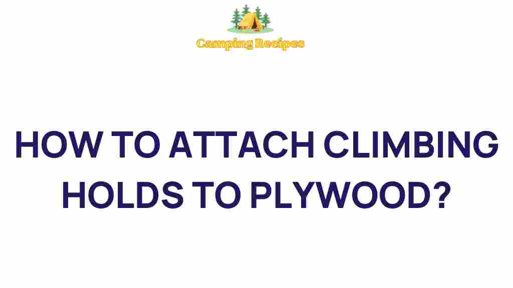climbing-holds-plywood-setup