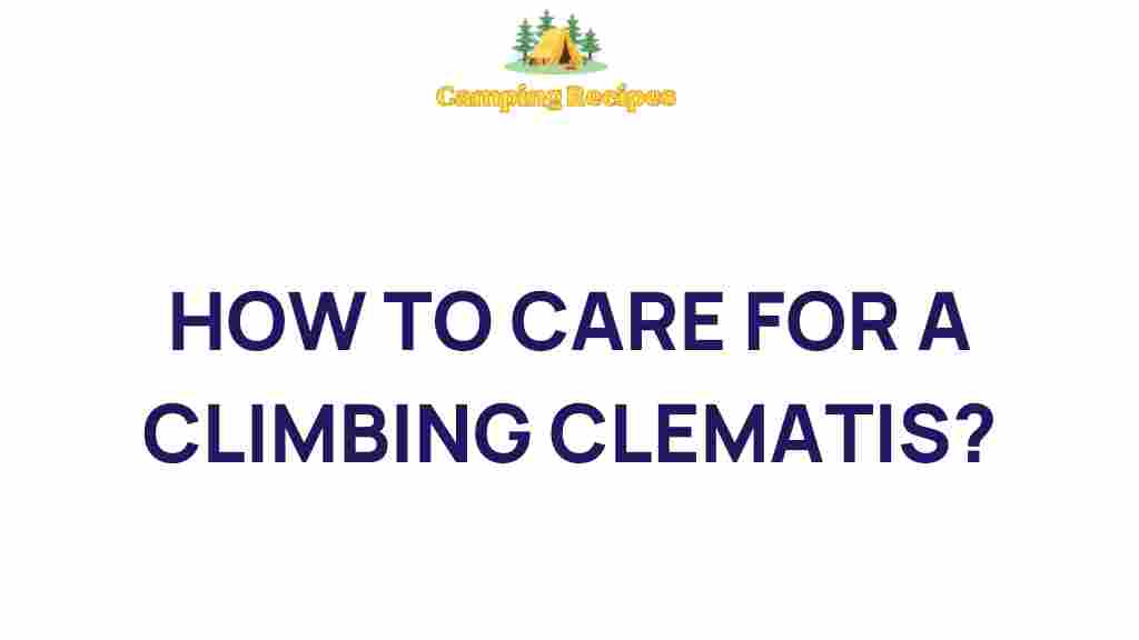 climbing-clematis-care-tips