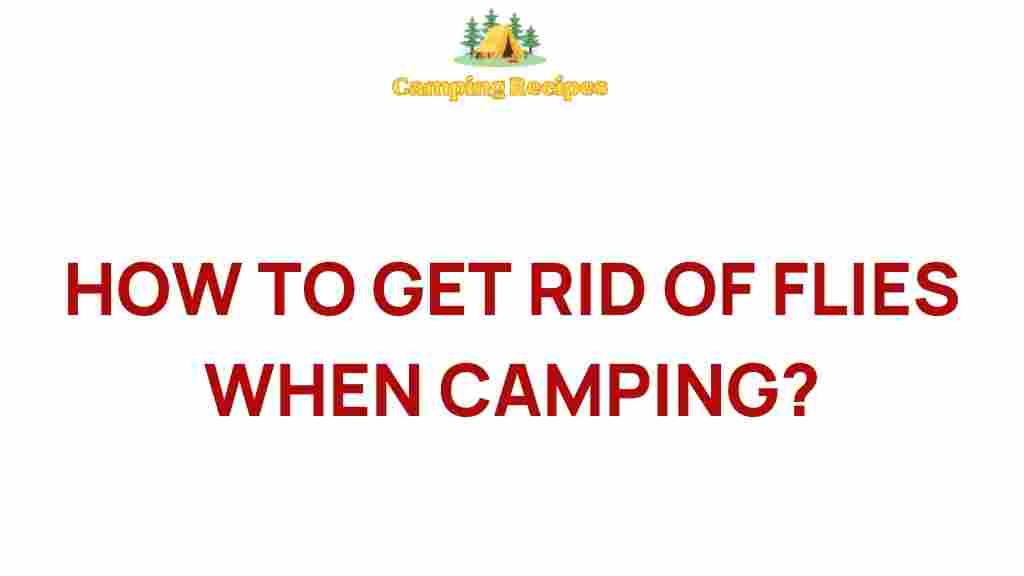 camping-fly-control