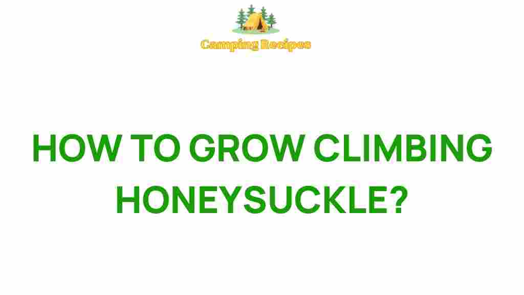climbing-honeysuckle-growing-guide