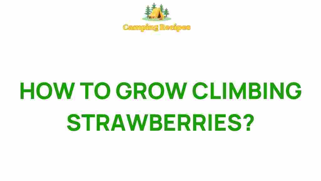 climbing-strawberries-guide