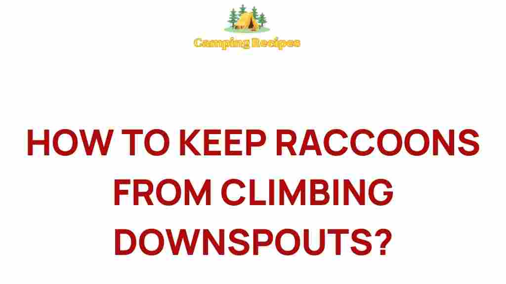 keep-raccoons-from-climbing-downspouts