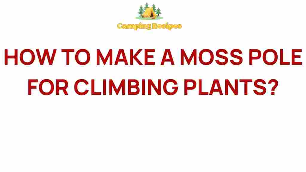 moss-pole-climbing-plants