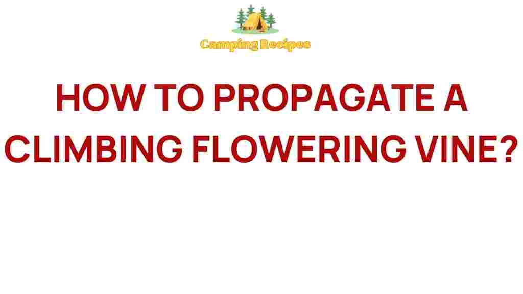 propagate-climbing-flowering-vine