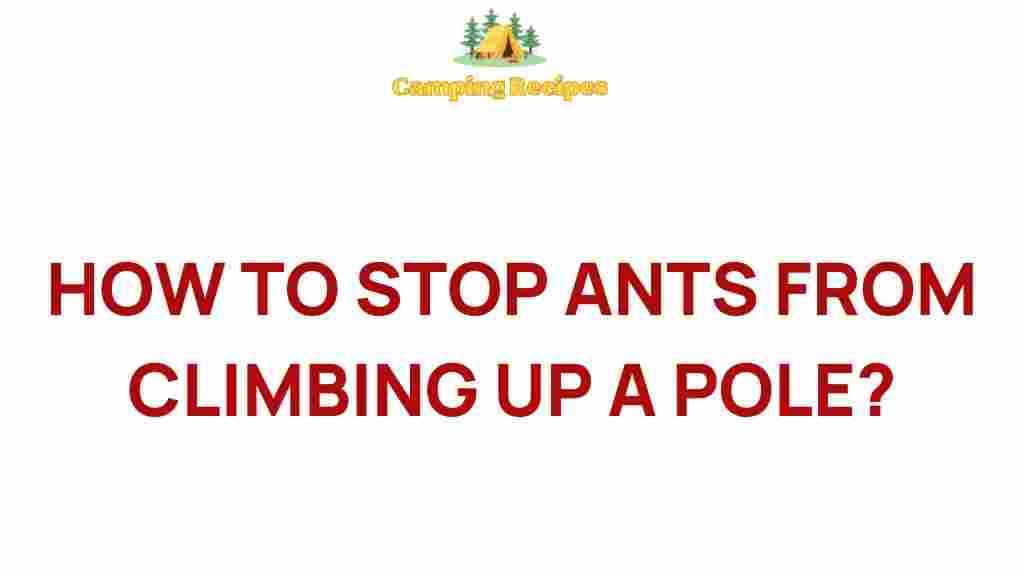 ant-proof-outdoor-space