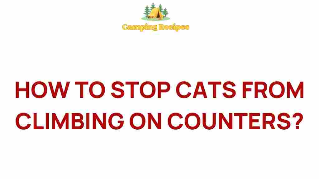 how-to-stop-cats-from-climbing-on-counters