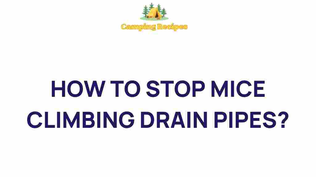 how-to-stop-mice-climbing-drain-pipes
