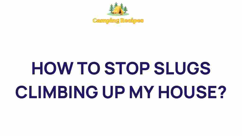 stop-slugs-invading-your-home