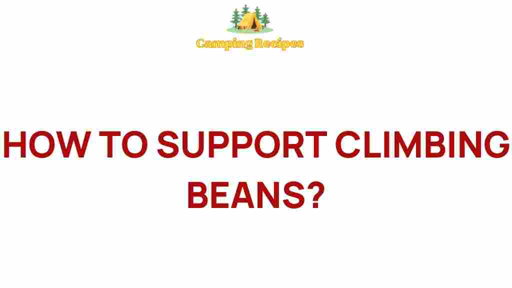 climbing-beans-support-guide