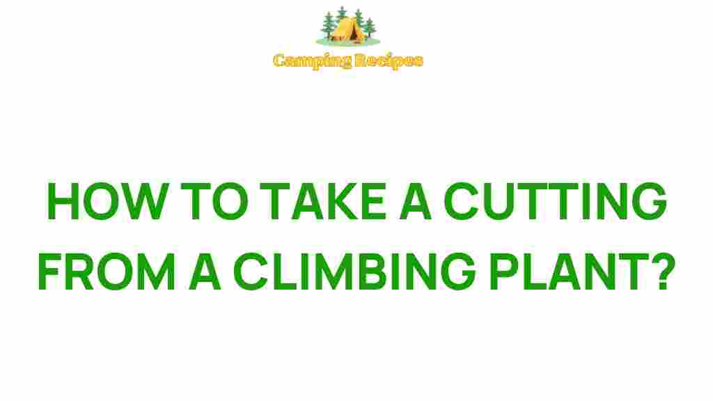 climbing-plants-cutting-techniques