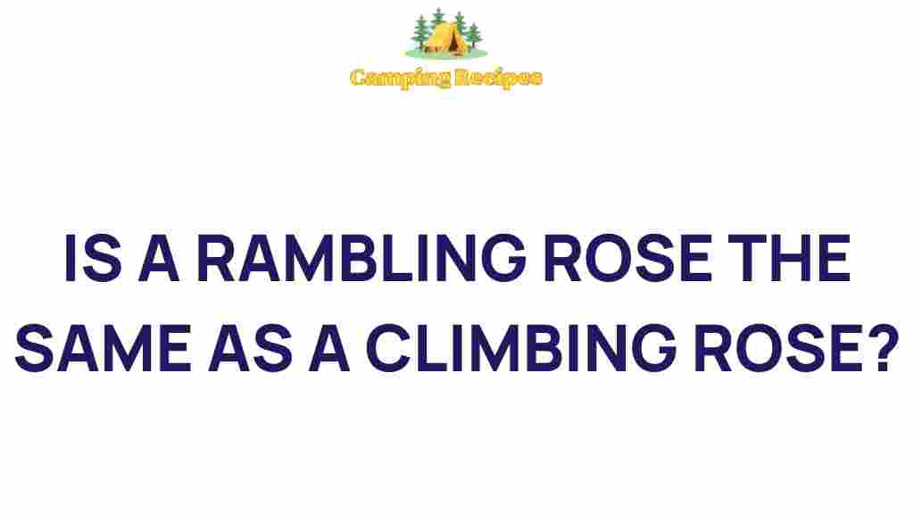 rambling-roses-vs-climbing-roses