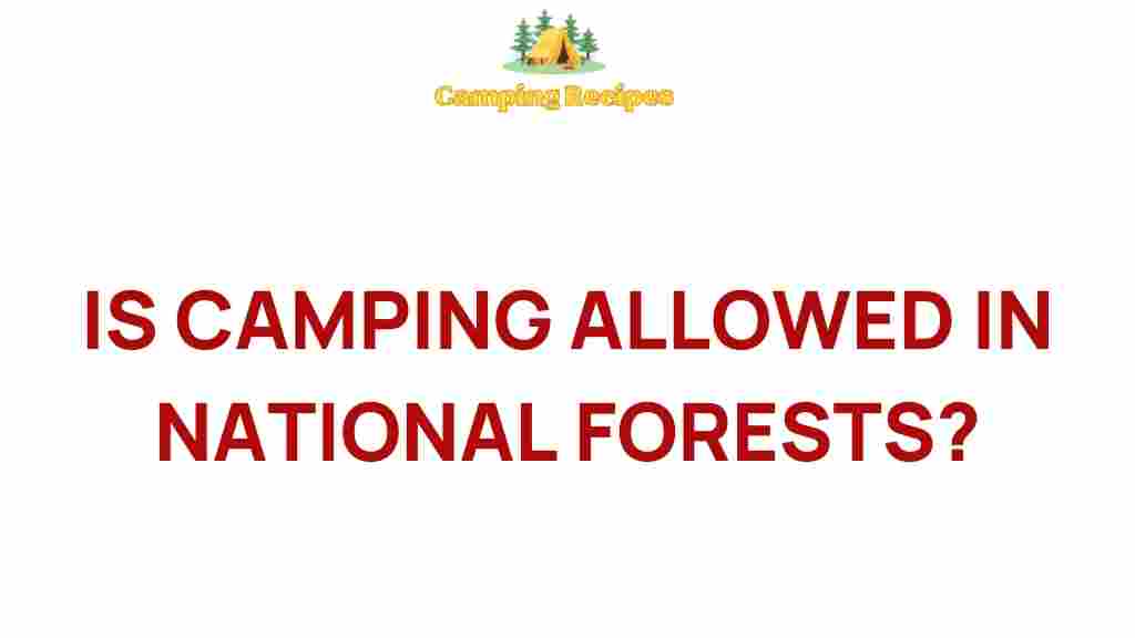 camping-in-national-forests