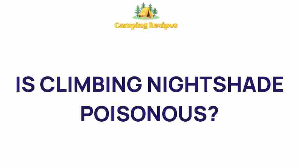 climbing-nightshade-poisonous
