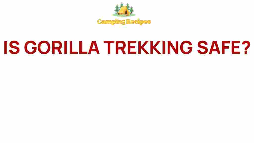 gorilla-trekking-safe