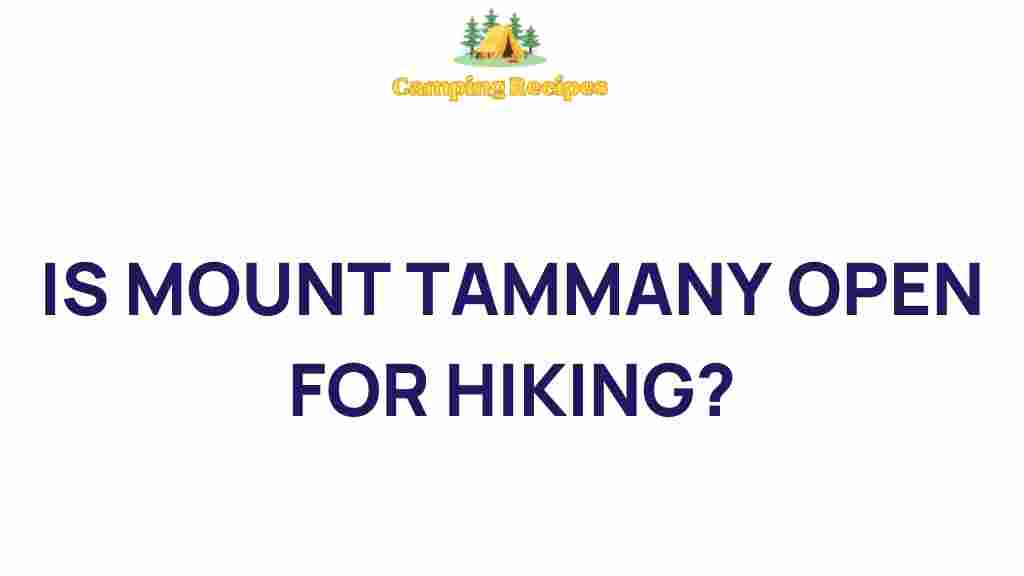 mount-tammany-open-hiking