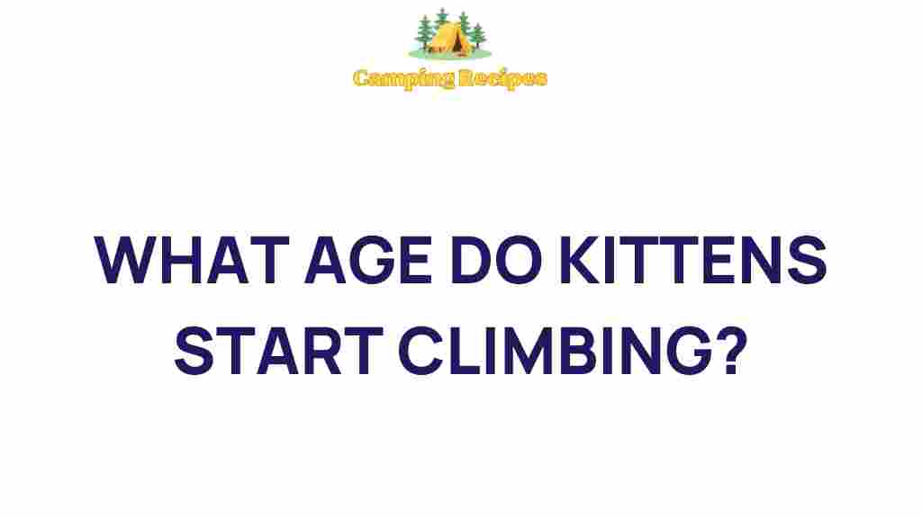 what-age-do-kittens-start-climbing