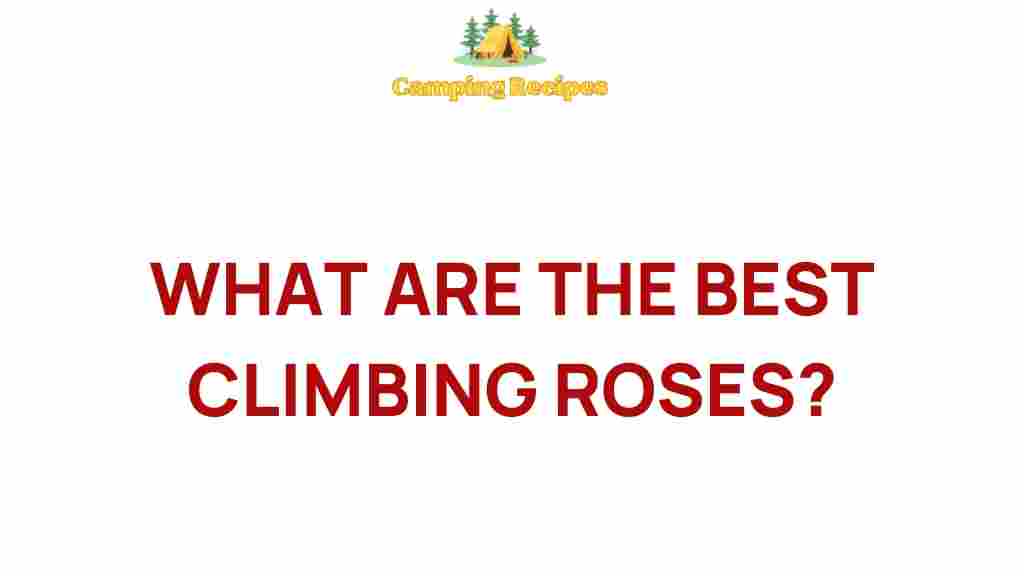 climbing-roses-best-garden