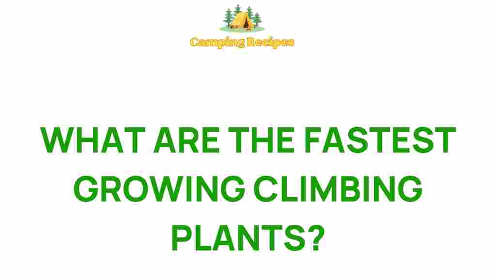 climbing-plants-fastest-growing