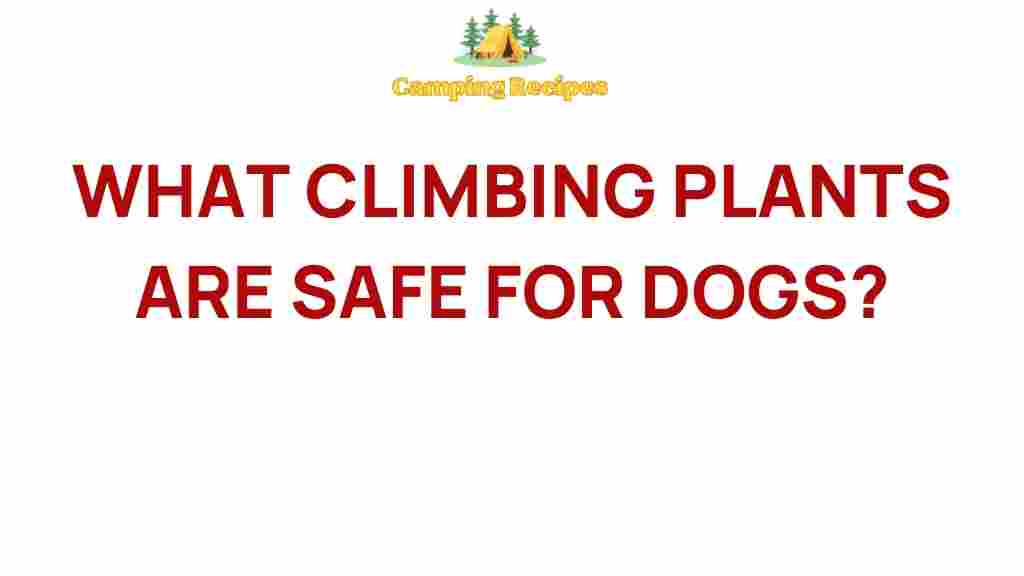 climbing-plants-safe-for-dogs